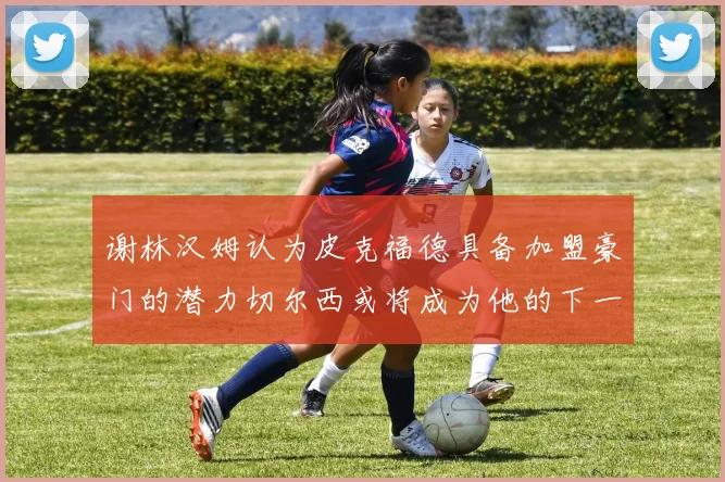 谢林汉姆认为皮克福德具备加盟豪门的潜力切尔西或将成为他的下一个选择