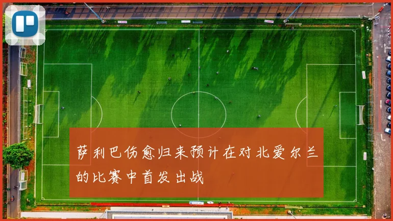 萨利巴伤愈归来预计在对北爱尔兰的比赛中首发出战